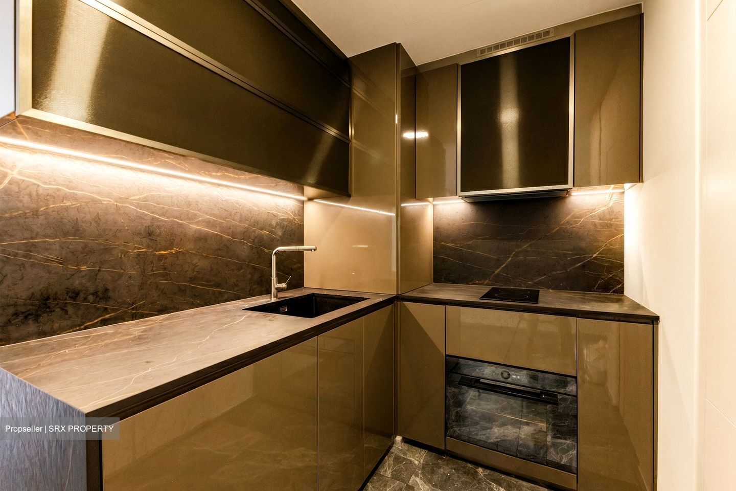 One Bernam (D2), Apartment #551167011